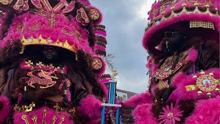 Mardi Gras Indians Costume Contest [upl. by Clemence]