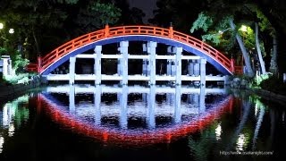 住吉大社の夜景 御本殿＆太鼓橋ライトアップ Night View of Sumiyoshi Grand Shrine Osaka Japan [upl. by Aihsetel]