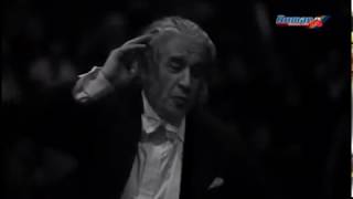 CONCERT EXTRAORDINAR SERGIU CELIBIDACHE [upl. by Savadove46]