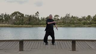 Qigong Shibashi Set 1 – Alfred Ng Tai Chi [upl. by Acima]