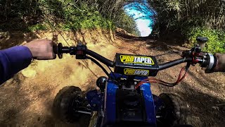 YAMAHA BANSHEE 350 FULL SPEED SHREDDING🌶️🌶️🌶️  Adventure Trail Riding Gopro Onboard [upl. by Lieno410]