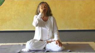 Anuloma and Pratiloma Viloma Variations  Yoga Breathing Exercises [upl. by Roeser]