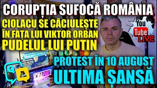 Live Q amp A România sufocată de mafie Ultimul semnal de alarmă 10 august Ultima șansă Alegerile [upl. by Christean]