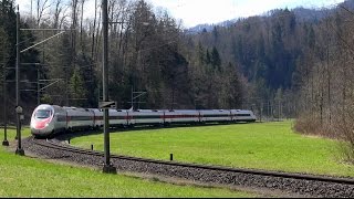 Im Cockpit des «Pendolino» durch den Urwald Pendolino im Sihltal ETR 470 ETR 610 [upl. by Isia]