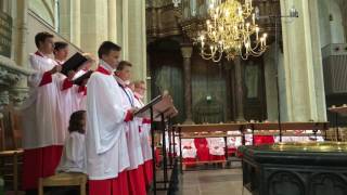 Sicut cervus  Da Palestrina 15251594  Kampen Boys Choir olv Rintje te Wies [upl. by Prober]