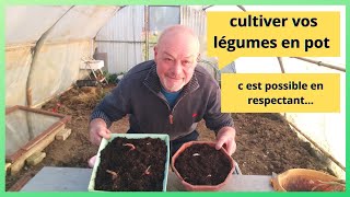 Minipotager en pot  les cultures en pot [upl. by Norted722]