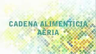 Cadena alimenticia aérea [upl. by Irma]