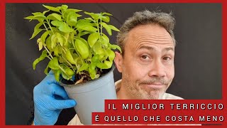 Il miglior terriccio per bonsai é quello che costa meno [upl. by Somerset673]