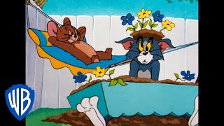 Tom und Jerry auf Deutsch  Die Neujahrsresolution  WB Kids [upl. by Anaylil515]