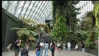 CLOUD FOREST SINGAPORE 2024 trending viral marvels15vlog world [upl. by Foster]