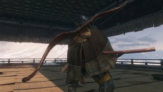 Sekiro Inner Genichiro PERSONAL RECORD NO HIT SPEEDRUN in 46 seconds with DRIP [upl. by Myrlene22]