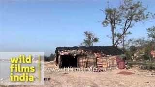 Hut of Aghori baba at Chandi ghat Haridwar [upl. by Golda]