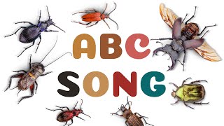 ABC insect song 02 [upl. by Nolyag259]