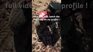 Mini bike trail ride  minibikes trailcam trail ride bikelife bikes biking viral shorts [upl. by Ardnuahs]