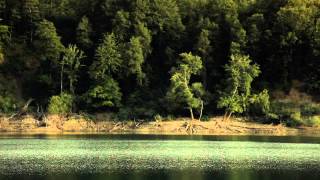 Video documentario quotAlla scoperta del Parco nazionale Appennino lucanoquot [upl. by Haliak]