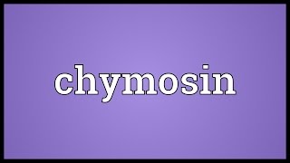 Chymosin Meaning [upl. by Adiarf]