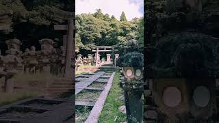 Tokoji Yamaguchi  東光寺 yamaguchi 山口県 japan japantemple temple torii [upl. by Nilyac]