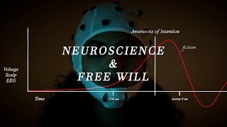 Neuroscience amp Free Will Libets Experiment [upl. by Prasad]