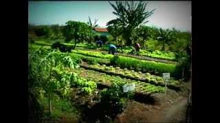 De un desierto de carbón a un oasis de hortalizas [upl. by Adriena120]