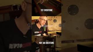 What Is The Overtones Series Explained At The Piano Music Theory shorts [upl. by Carr]