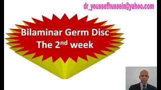 8 The 2nd week  Bilaminar germ disc [upl. by Aivitnahs]