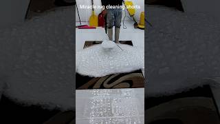 Get Professional Results with These Simple CARPET CLEANING Techniques [upl. by Dworman]