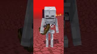 Skeleton and Nether minecraft minecraftanimation mrshyder funny [upl. by Henryk]