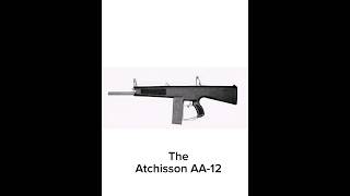 The Atchisson AA12 [upl. by Sug]