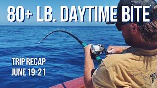 Return of Big Daytime Tuna  Trip Recap June 1921 [upl. by Mehcanem]