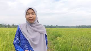 Interview UITM Law Degree Video [upl. by Aiela]