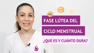 ¿Qué es y cuánto dura la fase lútea del ciclo menstrual [upl. by Allehc]