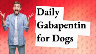 Is daily gabapentin safe for dogs [upl. by Dukie]