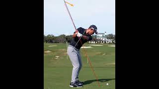 Collin Morikawa golf swing analysis shorts golfshorts golf golfswing alloverthegolf [upl. by Loriner]