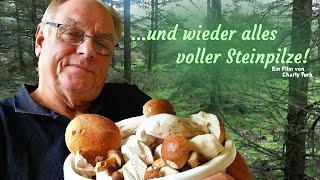 Wieder alles voller Steinpilze Okt2024 [upl. by Lael440]