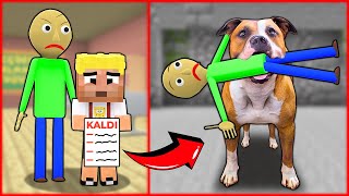 EFEKAN SINIFTA KALDI KÖPEĞİ BALDİYİ ISIRDI 😱  Minecraft [upl. by Ardnuyek]