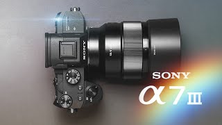 Sony A7III Review Should You Buy The Sony A7III in 2023 [upl. by Monto]