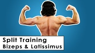 Bizeps amp Latissimus Split Trainingsplan für zu Hause  Kurzhantel Workout [upl. by Anirok]