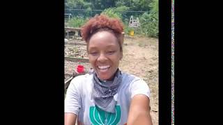 A Tour of Lettuce Live Community Garden by Karena P [upl. by Neale]