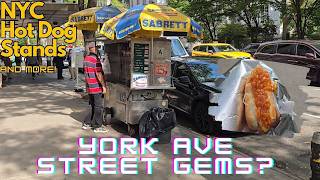 York Ave Hidden Gems  NYC Hot Dog Stands [upl. by Orlantha]