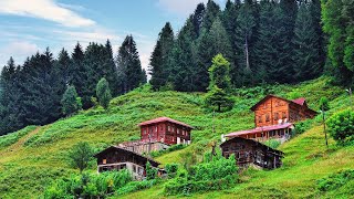 Hey Gidi Karadeniz ve Koyverdin Gittin Beni Doğaçlama Amatör Erkek Ses [upl. by Rodrick]