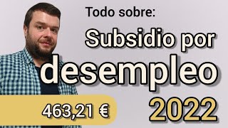 SUBSIDIO POR DESEMPLEO Ayuda 2022 Cómo solicitarlo [upl. by Nylahs]