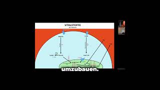 Warum ist Magnesium so wichtig für unsere Gesundheit [upl. by Noremmac]