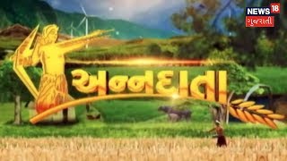 કેવી રીતે કરશો નારિયેળની સફળ ખેતી  ANNADATA  News18 Gujarati [upl. by Edmanda300]