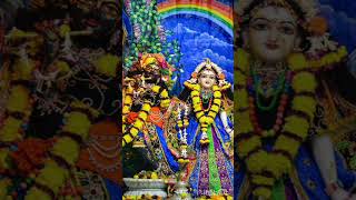 All glories to Srila prabhupada yt srilaprabhupada krishnaconciousness [upl. by Ais]