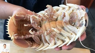 GRAPHIC Real Live Isopod Hour  Cut Clean Cook [upl. by Keffer183]