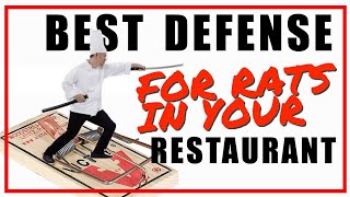 Orlando Restaurant Rat Removal Multiunit Check List Closed Pest Control infested Orlando Ar [upl. by Iva901]