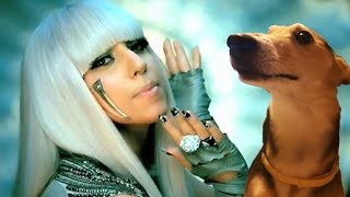 Lady LaLa Lady Gaga feat the La La Dog [upl. by Kubetz41]