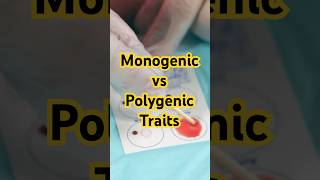 Monogenic vs Polygenic Traits Explained [upl. by Kerwinn]