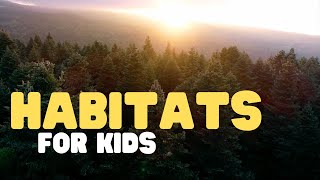 Habitats for Kids  Learn all about deserts forests grasslands mountains and more [upl. by Ative905]