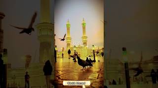 Darood Sharif Sami yousaf Recitation Darood Pak Inner peace homeislamic2826 islamloveduet [upl. by Murray]